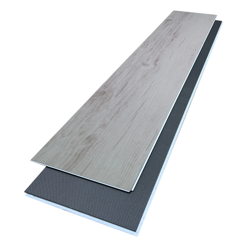 SG 5507 White Elm